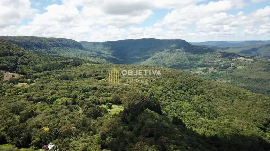 Fazenda/Sítio com 2 Quartos à venda, 15000m² no Centro, São Francisco de Paula