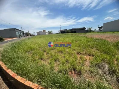 Lote/Terreno à venda, 750m² no Vila Pompéia, São José do Rio Preto