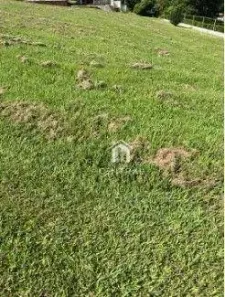 Lote/Terreno à venda, 1460m² no Caguassu, Sorocaba
