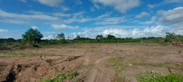 Lote/Terreno à venda, 4800m² no Santa Terezinha, São Gonçalo do Amarante