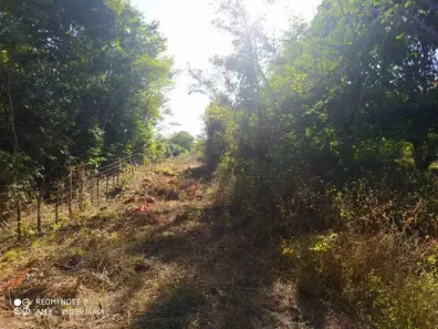 Fazenda/Sítio à venda no Gurupi, Teresina