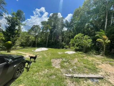 Fazenda/Sítio com 1 Quarto à venda, 6500m² no Área Rural de Manaus, Manaus