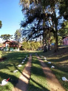 Fazenda/Sítio à venda, 16000m² no Área Rural, Quitandinha
