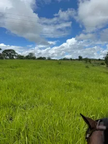 Fazenda/Sítio à venda, 225m² no , Mundo Novo