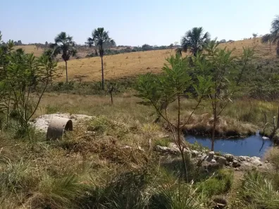 Fazenda/Sítio com 3 Quartos à venda, 20000m² no Ponte Alta Norte, Brasília