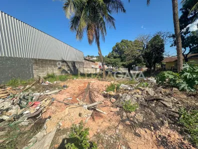 Lote/Terreno à venda, 252m² no Arlindo Villaschi, Viana