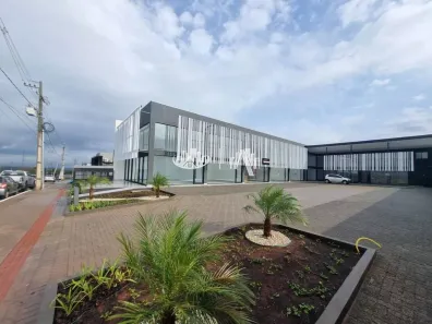 Ponto Comercial para alugar, 50m² no Olímpico, Londrina