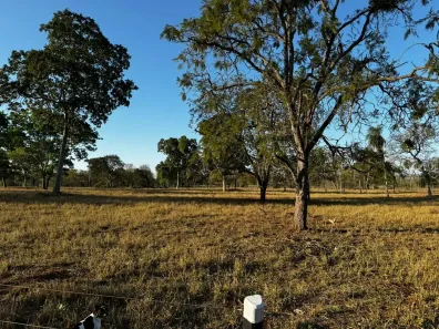 Fazenda/Sítio à venda, 330000m² no Centro, Terenos