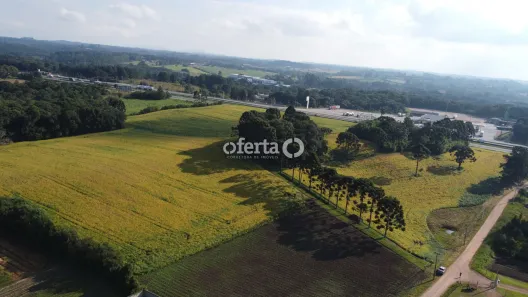 Lote/Terreno à venda, 65000m² no Roça Velha, São José dos Pinhais