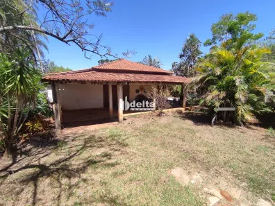 Fazenda/Sítio com 3 Quartos à venda, 195m² no Área Rural de Uberlândia, Uberlândia