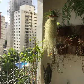 Apartamento com 3 Quartos à venda, 157m² no Indianópolis, São Paulo