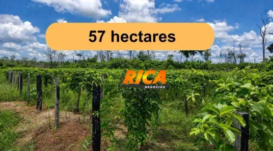 Fazenda/Sítio à venda, 570000m² no Área rural de Humaitá, Humaitá