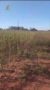 Fazenda/Sítio com 2 Quartos à venda, 100m² no Promissão, Promissão