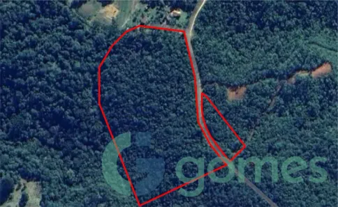 Lote/Terreno à venda, 45997m² no São João, Tijucas do Sul