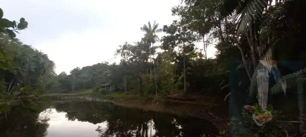 Lote/Terreno à venda, 300000m² no Puraquequara, Manaus