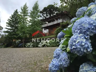 Casa com 3 Quartos à venda, 175m² no Centro, São Francisco de Paula