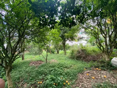 Lote/Terreno à venda, 414m² no Panazzolo, Caxias do Sul