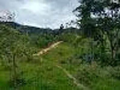 Fazenda/Sítio à venda, 150000m² no Taquaraçutuba, Imaruí