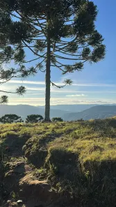 Lote/Terreno à venda, 30000m² no Urubici, Urubici