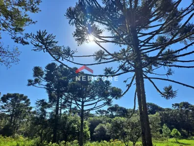 Lote/Terreno à venda, 675m² no Centro, São Francisco de Paula