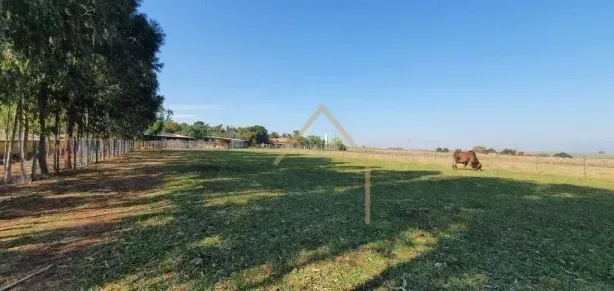 Fazenda/Sítio à venda, 33000m² no Jardim Santa Alice, Santa Bárbara D'Oeste