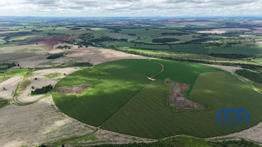 Fazenda/Sítio com 3 Quartos à venda, 4961000m² no PARANAPANEMA, Paranapanema