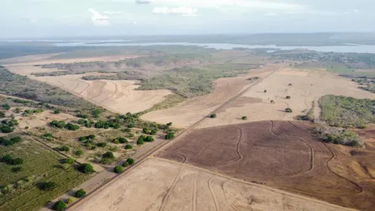 Fazenda/Sítio com 2 Quartos à venda, 1050000m² no Centro, Nova Iorque