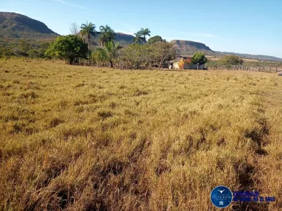 Fazenda/Sítio com 2 Quartos à venda, 38m² no Setor Central, Caiapônia