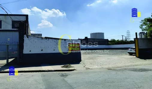Lote/Terreno para alugar, 1568m² no Vila Guilherme, São Paulo