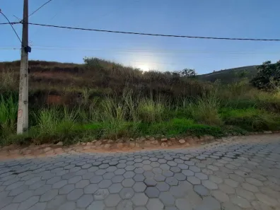 Lote/Terreno à venda, 250m² no Vale do Ipê, Ponte Nova