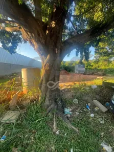 Lote/Terreno à venda, 1068m² no Jardim Triunfo 78, Pedreira