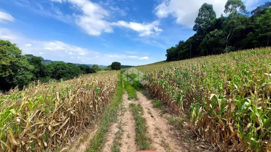 Fazenda/Sítio à venda, 145000m² no , Garibaldi