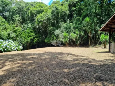 Fazenda/Sítio à venda, 20000m² no Fazenda Souza, Caxias do Sul