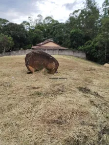 Lote/Terreno à venda, 2000m² no Chácara Terra Nova, Jundiaí