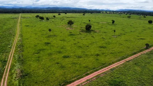 Fazenda/Sítio à venda, 550m² no , Santo Antônio de Leverger