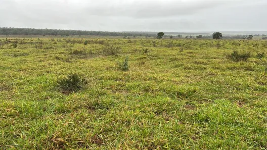 Fazenda/Sítio à venda, 12922800m² no Jardim Nova Água Clara, Água Clara