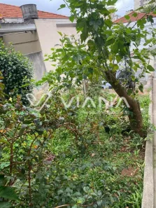 Lote/Terreno à venda, 257m² no Barcelona, São Caetano do Sul