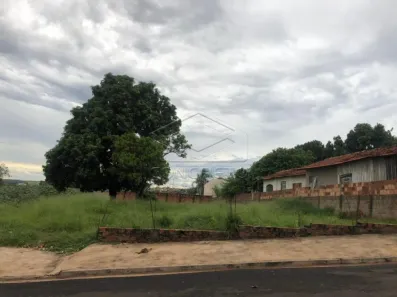Imóvel Comercial à venda, 678m² no Parque Santa Edwiges, Bauru