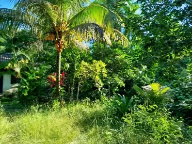 Fazenda/Sítio com 3 Quartos à venda, 20000m² no Socorro, Jaboatão dos Guararapes