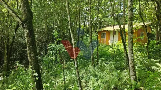 Fazenda/Sítio com 1 Quarto à venda, 11000m² no São Miguel, Almirante Tamandaré