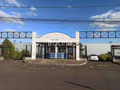 Apartamento com 3 Quartos para alugar, 65m² no Presidente Roosevelt, Uberlândia