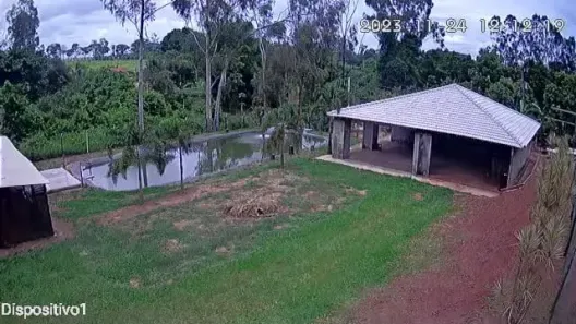 Fazenda/Sítio com 4 Quartos à venda, 12400m² no , Tanabi