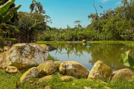 Fazenda/Sítio com 2 Quartos à venda, 95020m² no Rio Sagrado, Morretes