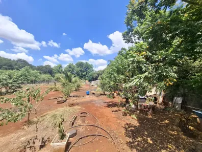 Lote/Terreno à venda, 5000m² no Recreio Anhangüera, Ribeirão Preto