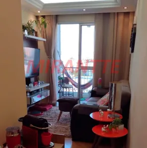 Apartamento com 3 Quartos à venda, 55m² no Vila Amélia, São Paulo