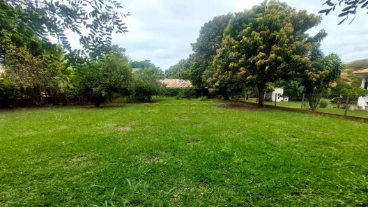 Lote/Terreno à venda, 1000m² no Jardim do Cedro, São José do Rio Preto