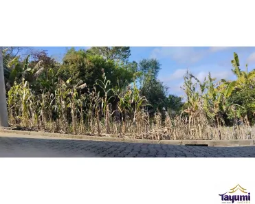 Lote/Terreno à venda, 300m² no Germânia, Santa Cruz do Sul