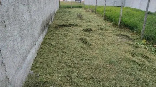 Lote/Terreno à venda, 125m² no Residencial e Comercial Portal dos Eucaliptos, Pindamonhangaba