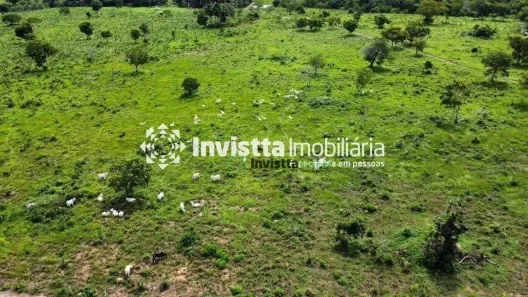 Fazenda/Sítio à venda, 8090000m² no Alto da Colina, Carolina