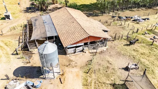 Fazenda/Sítio com 7 Quartos à venda, 1139800m² no Calcilândia, Goiás